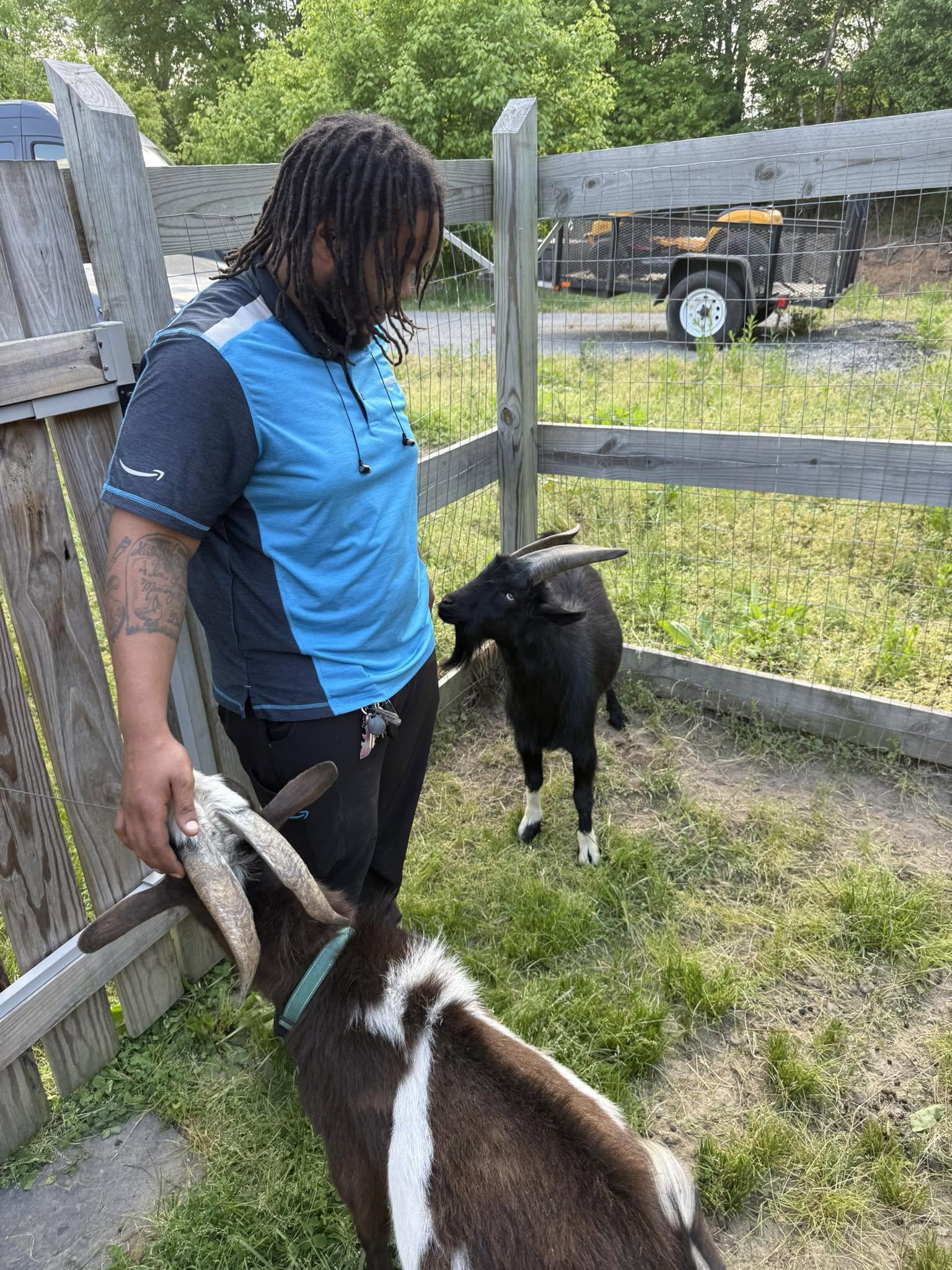 A visitor interacting with goats at Harper Farm.